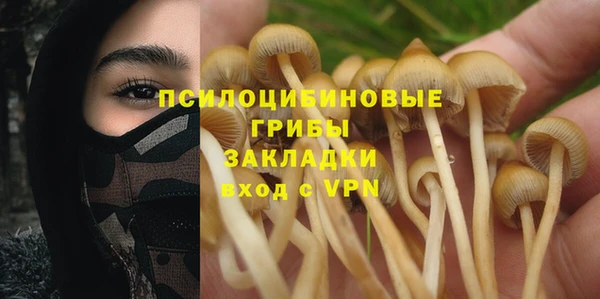 PSILOCYBIN Покровск