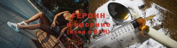 стафф Гатчина