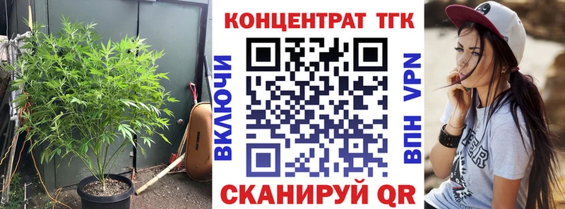 ТГК Wax Киселёвск
