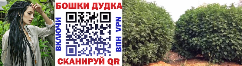 дарнет шоп Киселёвск Канабис LSD WEED